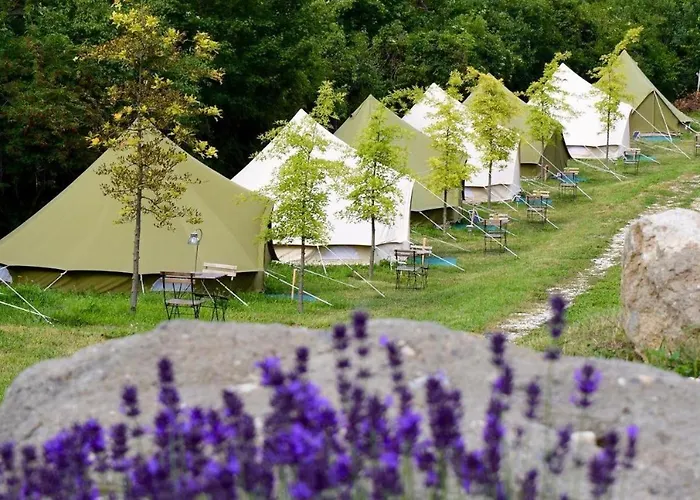 Campsite Glamp-inn *